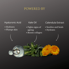 Load image into Gallery viewer, Benefits of Hyaluronic Acid, Kale Oil, and Calendula Extract for skin
