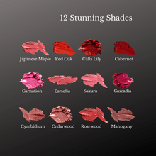 Load image into Gallery viewer, Best shades of transfer-proof, velvet matte liquid lipstick
